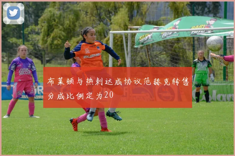 布莱顿与热刺达成协议范赫克转售分成比例定为20